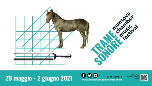 TS banner cavallo